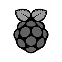 Raspberry Pi 中文名也称为树莓派，它是一个有趣的名字，但您会发现它一个功能强大的套件，可以为您所付的钱做很多事情。 Raspberry Pi 基金会发明它是为了帮助人们教授编码和计算机科学基础知识。